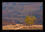 Colorado River 038